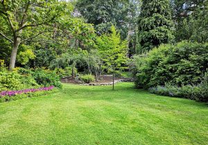 Optimiser l'expérience du jardin à Saint-Hilaire-Bonneval